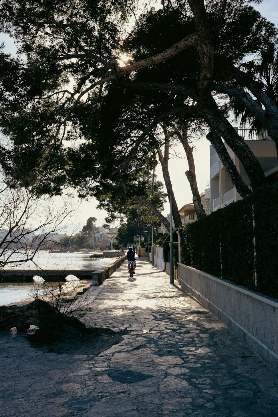 Waterfront Commons